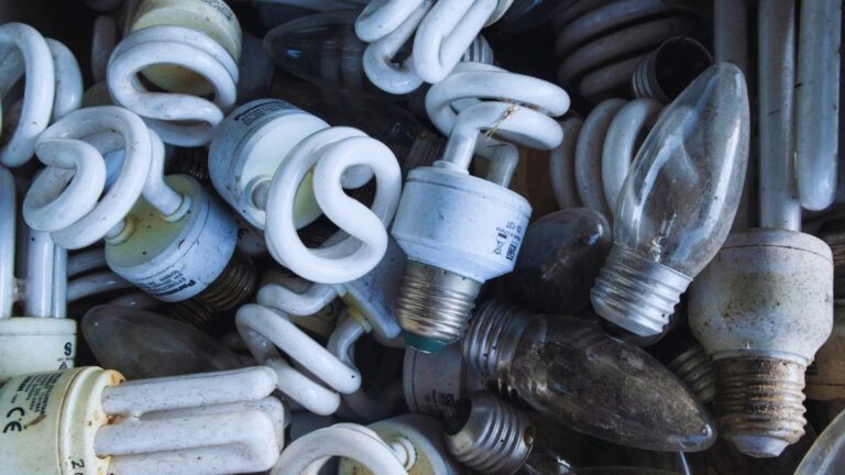 A tightly packed bin containing various spent light bulbs, including screw-in compact fluorescent bulbs and incandescent bulbs, illustrating a guide on how to dispose of light bulbs for commercial and industrial facilities.